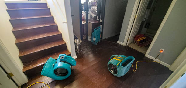 Best Flood damage cleanup  in North Spearfish, SD