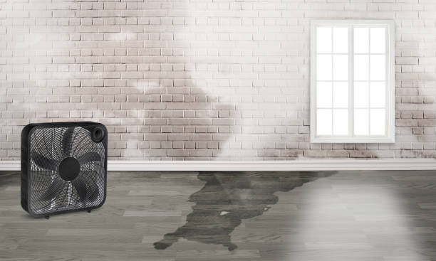 Best Water damage restoration near me  in North Spearfish, SD