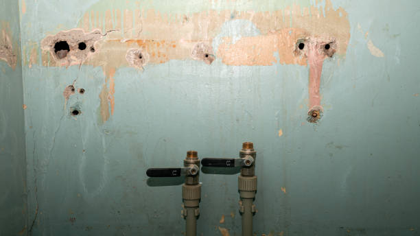 Best Mold removal after water damage  in North Spearfish, SD