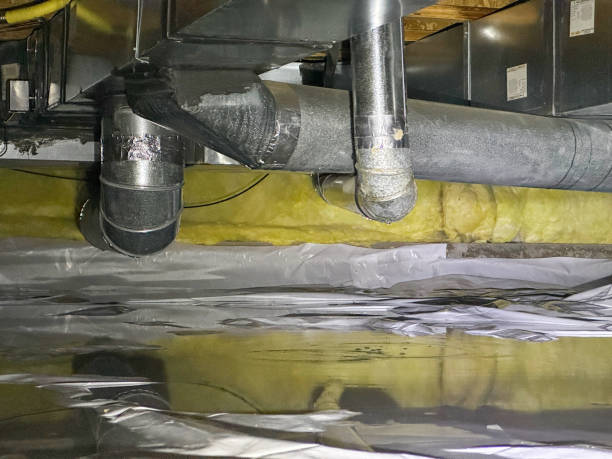Best Professional water damage repair  in North Spearfish, SD