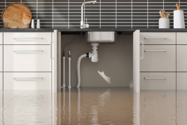 Best Basement water damage restoration  in North Spearfish, SD