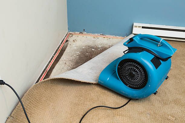 Best Sewage cleanup and water damage restoration  in North Spearfish, SD